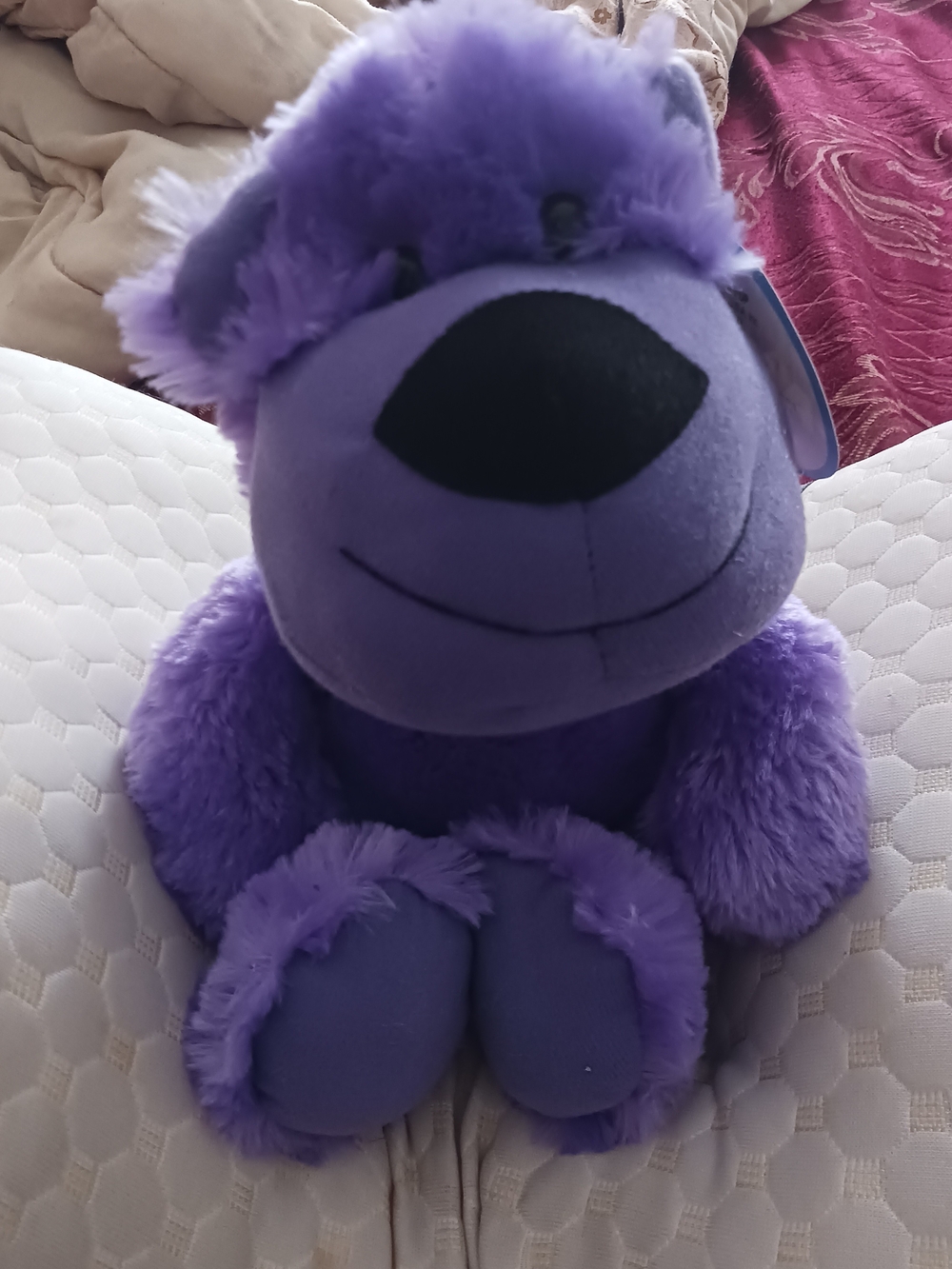 Animal Purple Plush Teddy Bear Stuffed Toy
